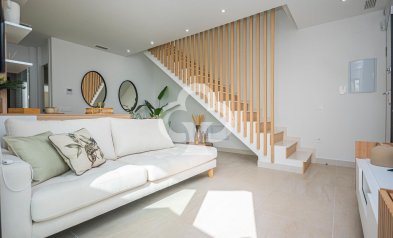 Uudiskohde - Bungalows -
Torrevieja - 03186, Avenida Denia s/n