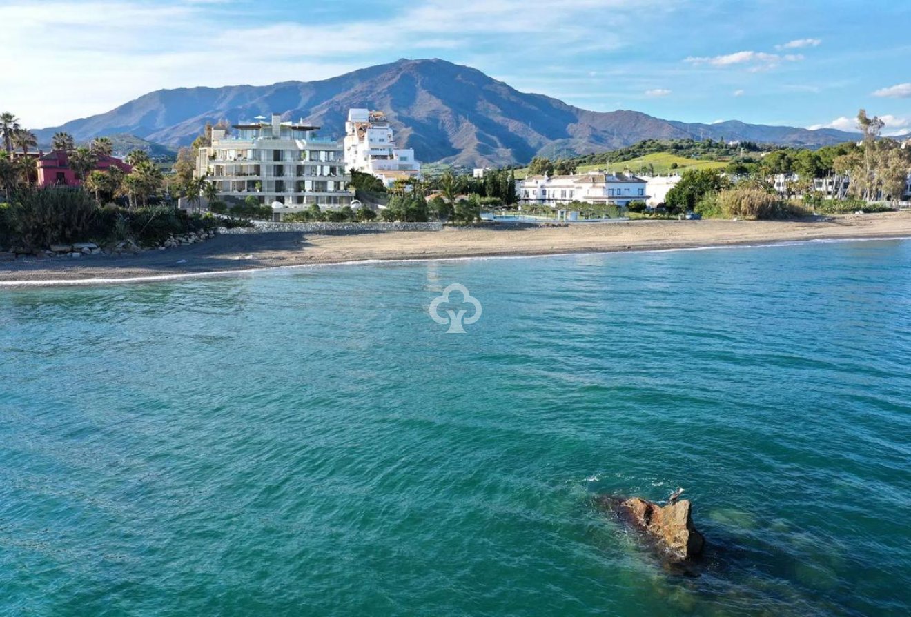 Neue Gebäude - Apartamentos -
Estepona - Calle Solana, 5