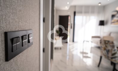 New Build - Bungalows -
Pilar de la Horadada - 03190