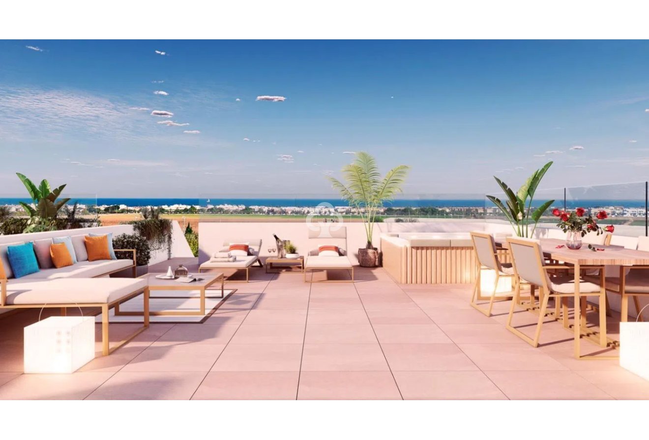 New Build - Áticos -
Pilar de la Horadada - 03190, Calle Mayor, 132