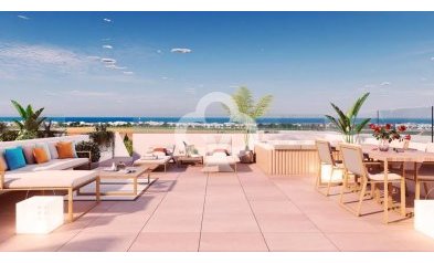 New Build - Áticos -
Pilar de la Horadada - 03190, Calle Mayor, 132
