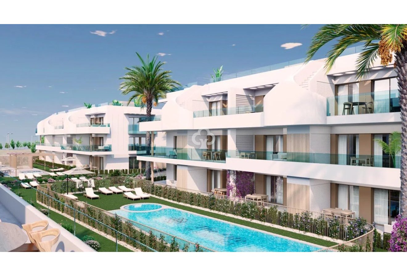 New Build - Áticos -
Pilar de la Horadada - 03190, Calle Mayor, 132