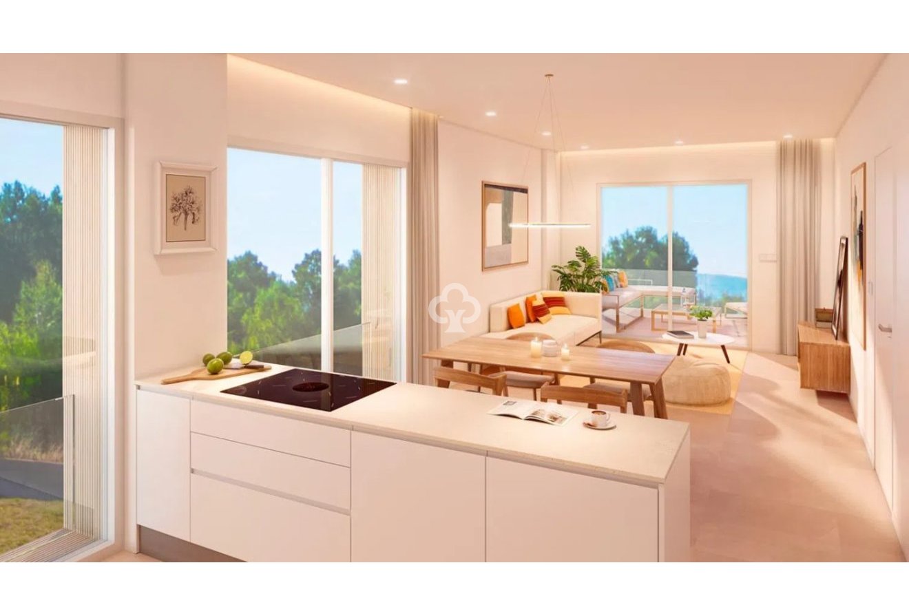 New Build - Áticos -
Pilar de la Horadada - 03190, Calle Mayor, 132