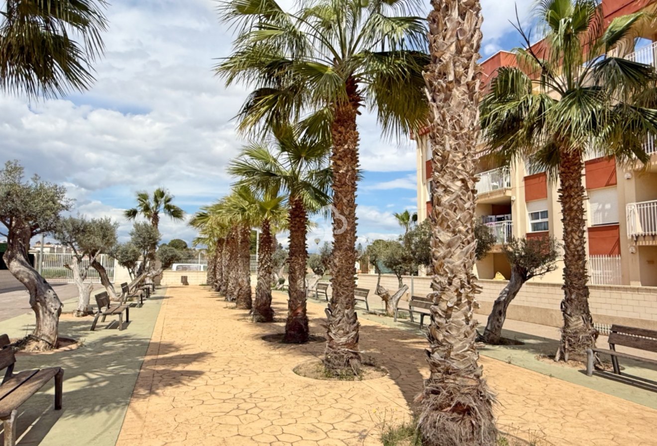 Wiederverkauf - Wohnung -
Orihuela Costa - Cabo roig - La Zenia