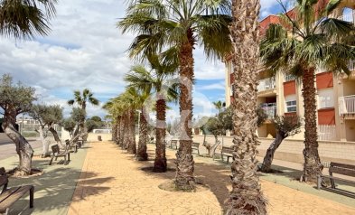 Resale - Apartment / flat -
Orihuela Costa - Cabo roig - La Zenia