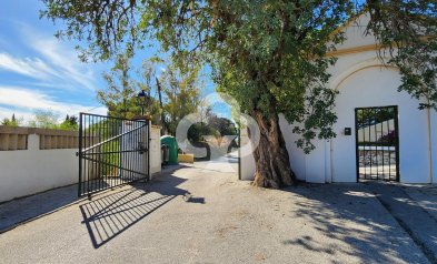 Resale - Duplex -
Mijas - Mijas Pueblo