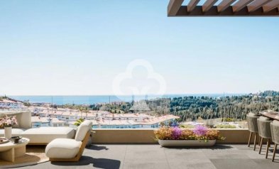 Neue Gebäude - Apartamentos -
Mijas - Calle Brida, 1