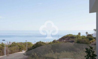 New Build - Áticos -
Torrevieja - Urbanizacion Manquilla S23, 5 C