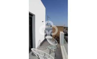 Obra nueva - Villas -
Torre Pacheco