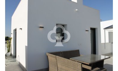 Obra nueva - Villas -
Torre Pacheco