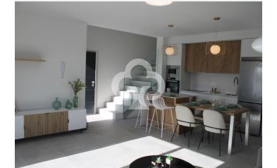 Obra nueva - Villas -
Torre Pacheco