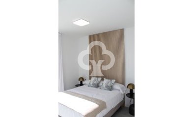 Obra nueva - Villas -
Torre Pacheco