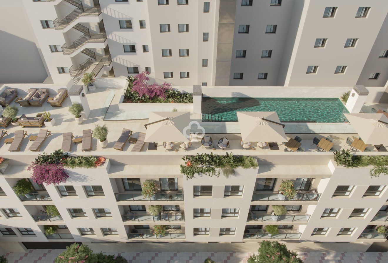 New Build - Apartamentos -
Málaga - 29002