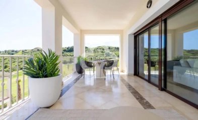 New Build - Adosados -
Estepona - Calle Perú, 1