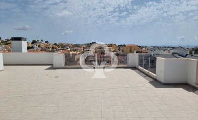 New Build - Bajos -
Orihuela - 03189, Calle Malvinas