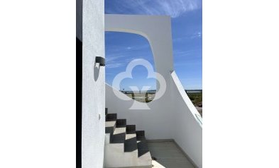 Obra nueva - Chalet independiente -
Rojales - 03170