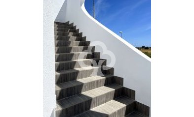 Obra nueva - Chalet independiente -
Rojales - 03170