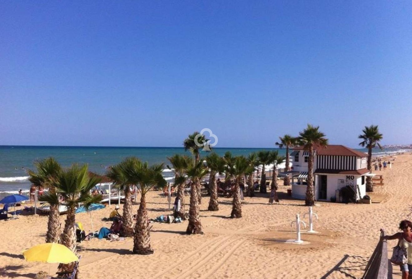 New Build - Áticos -
Dolores