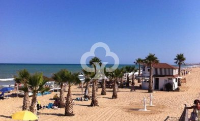 New Build - Áticos -
Dolores