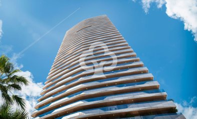 Neue Gebäude - Penthouses -
Benidorm