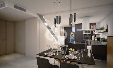 Obra nueva - Villas -
Algorfa