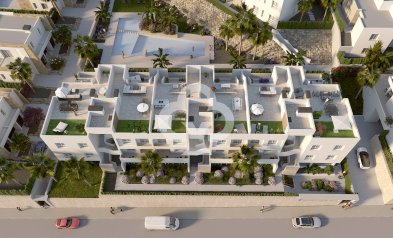 Obra nueva - Villas -
Algorfa