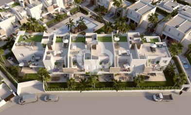 Obra nueva - Villas -
Algorfa