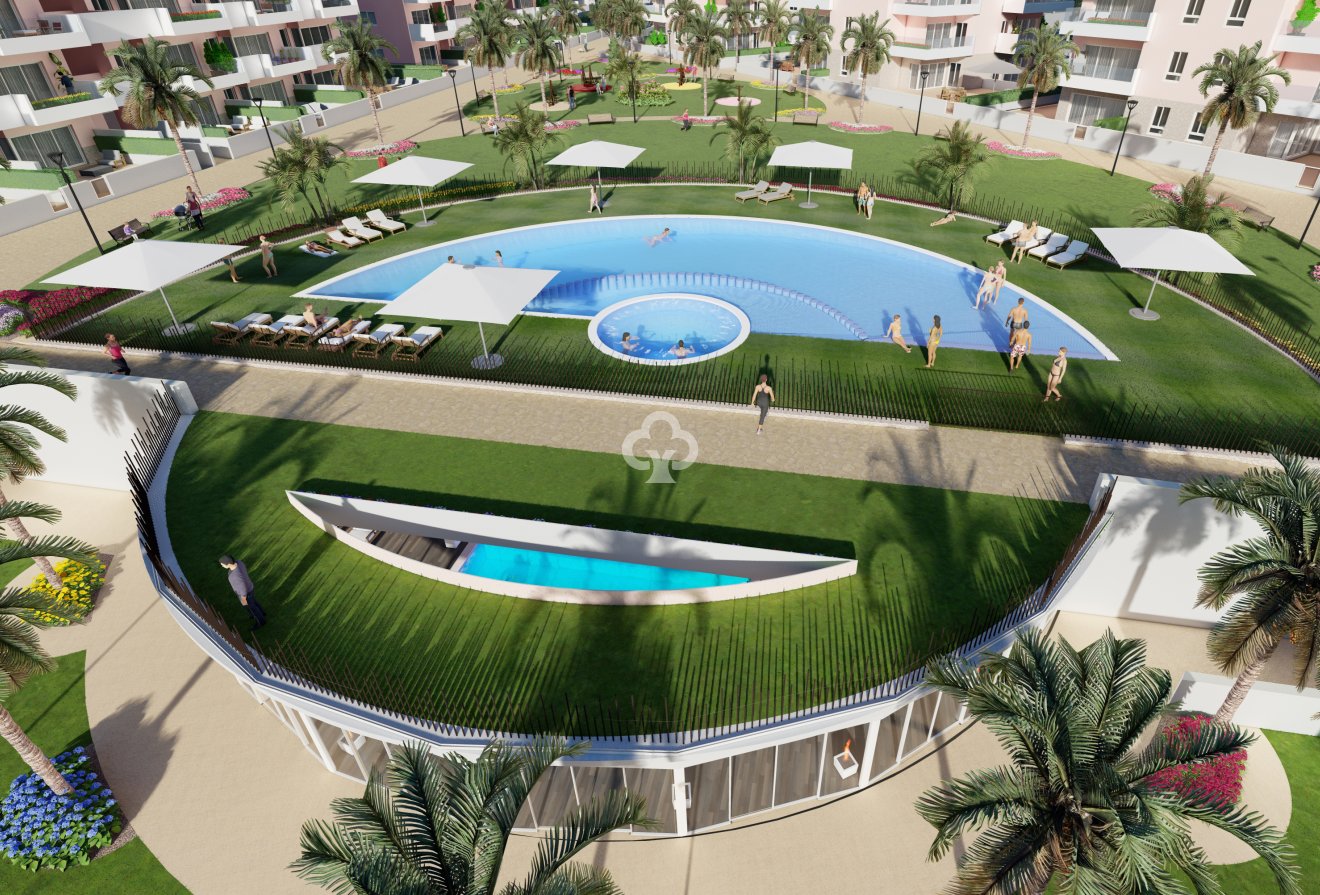 New Build - Áticos -
Guardamar del Segura - 03149, Avenida el Fenoll s/n