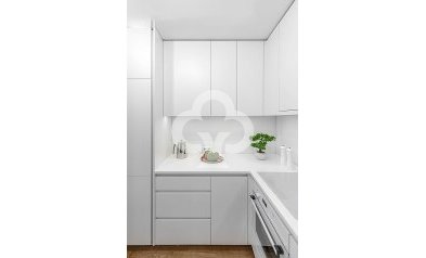 New Build - Apartamentos -
Relleu