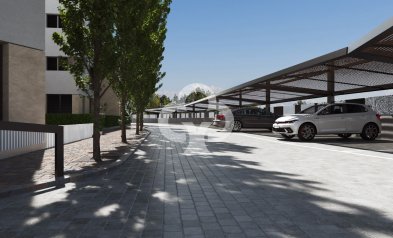 New Build - Apartamentos -
Torre-Pacheco - 30710