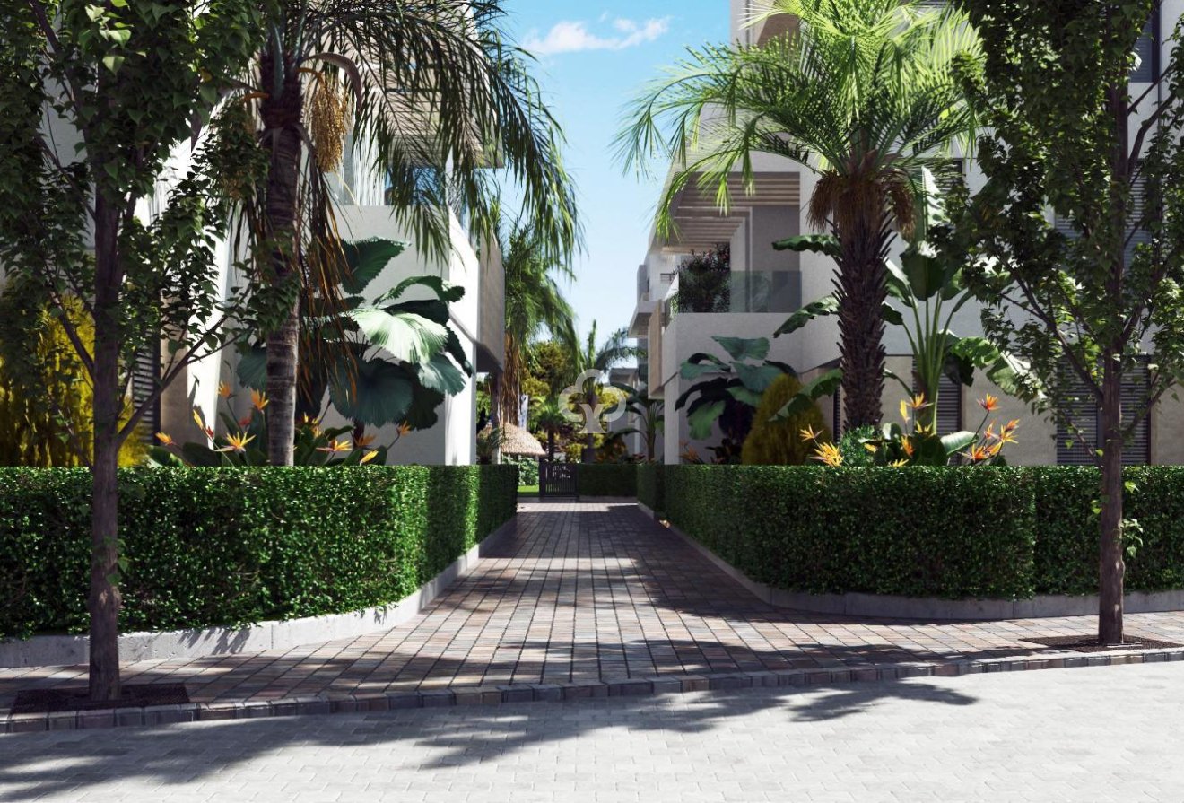 New Build - Apartamentos -
Torre-Pacheco - 30710