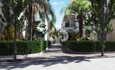 New Build - Apartamentos -
Torre-Pacheco - 30710