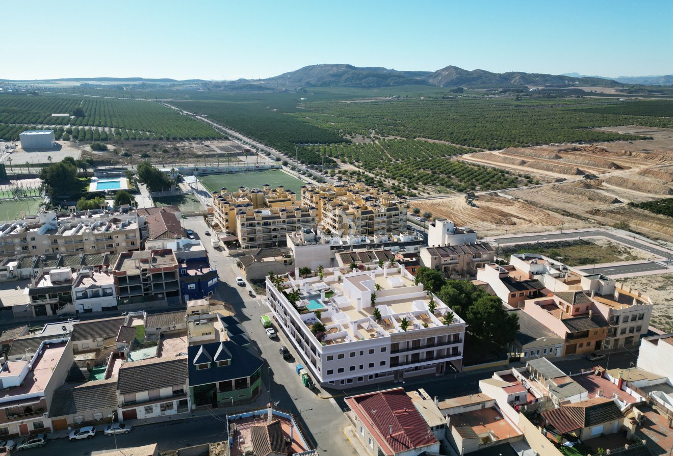 New Build - Bajos -
Algorfa - 03169