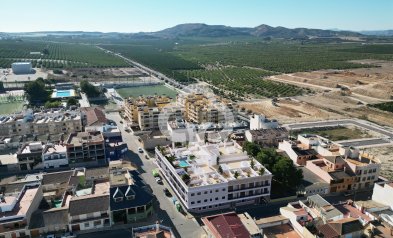 New Build - Bajos -
Algorfa - 03169