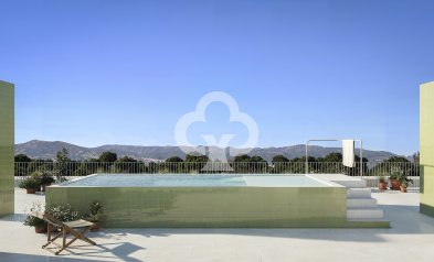 New Build - Bajos -
Jacarilla - Avenida De la Paz, 83