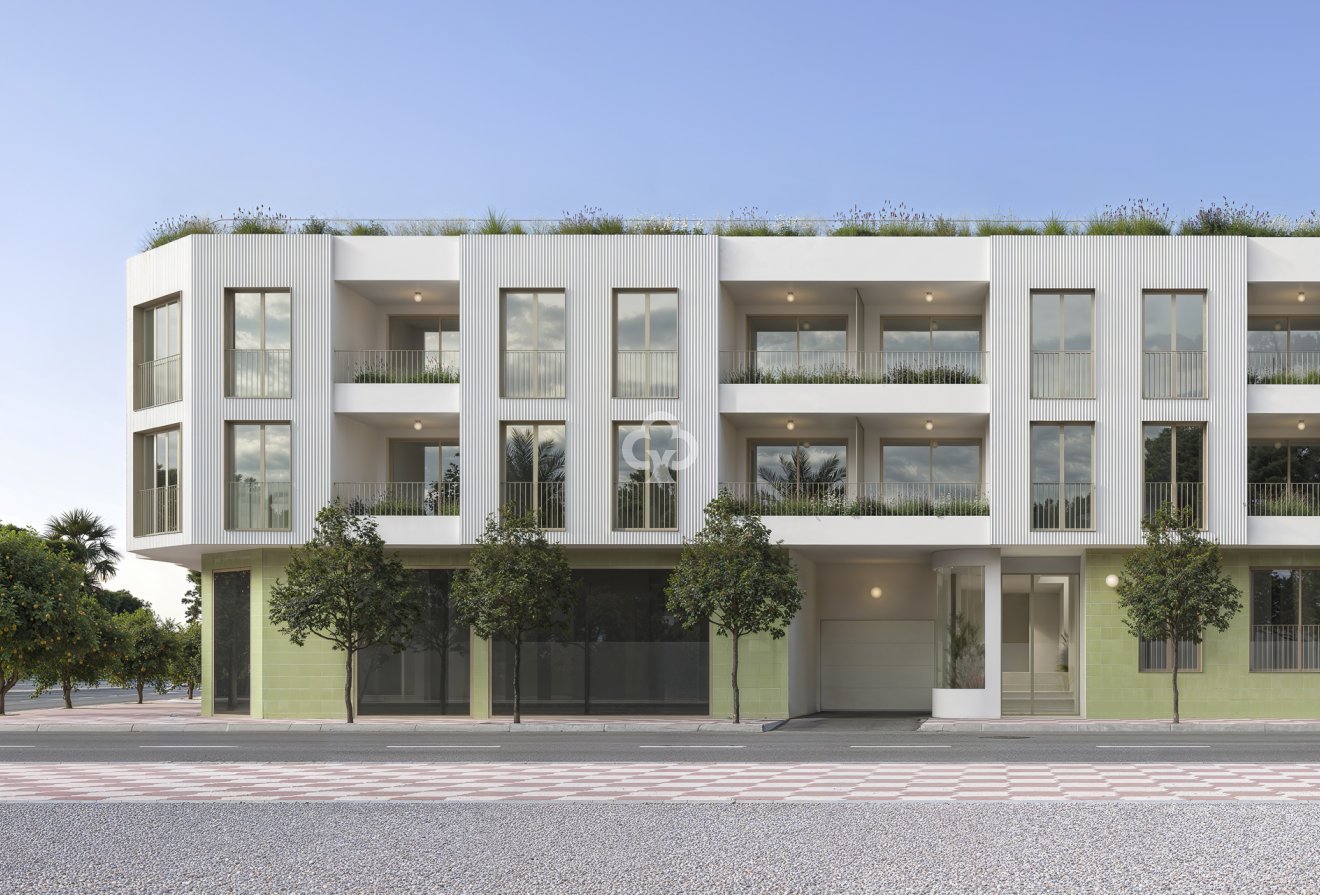 New Build - Bajos -
Jacarilla - Avenida De la Paz, 83