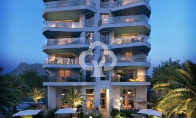 New Build - Duplexes -
La Villajoyosa / Vila Joiosa - 03570, Calle Tárbena, 101