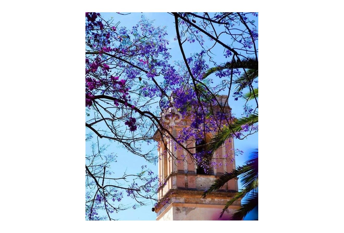 New Build - Adosados -
Denia - Calle Riu Vernissa, 31