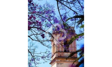 New Build - Adosados -
Denia - Calle Riu Vernissa, 31