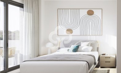 Neue Gebäude - Áticos -
Torrevieja