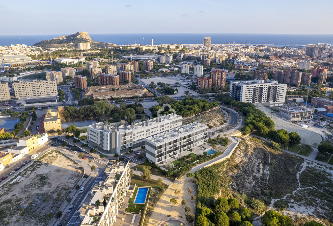 New Build - Áticos -
Alicante / Alacant - 03005, Calle Deportista Pitu Perramón, 3