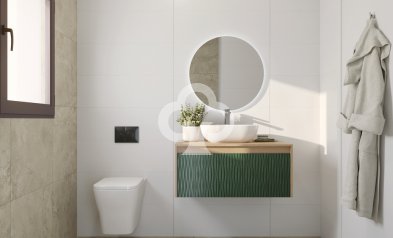 Obra nueva - Villas -
Algorfa