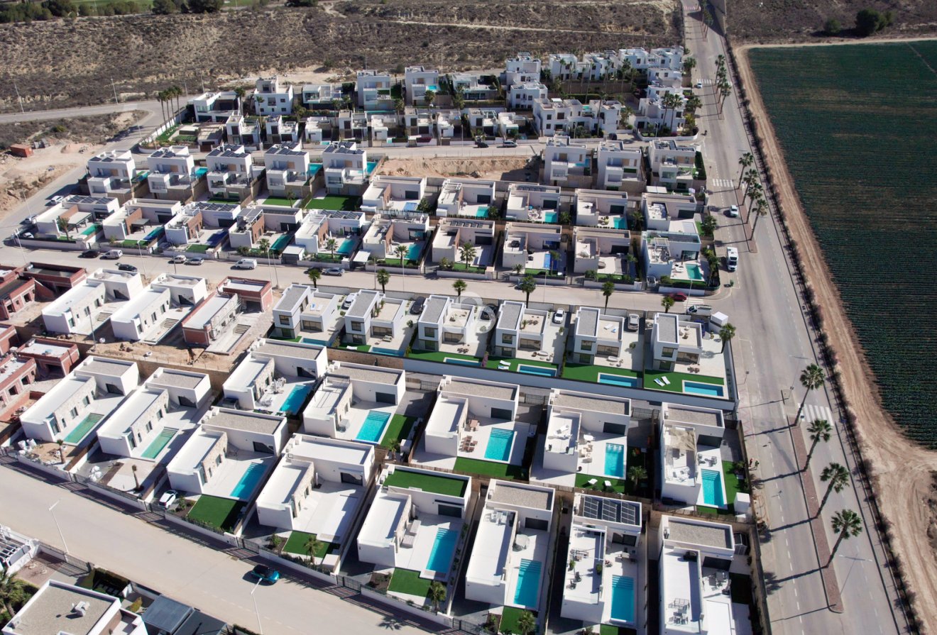 Obra nueva - Villas -
Algorfa