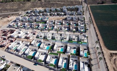 Obra nueva - Villas -
Algorfa