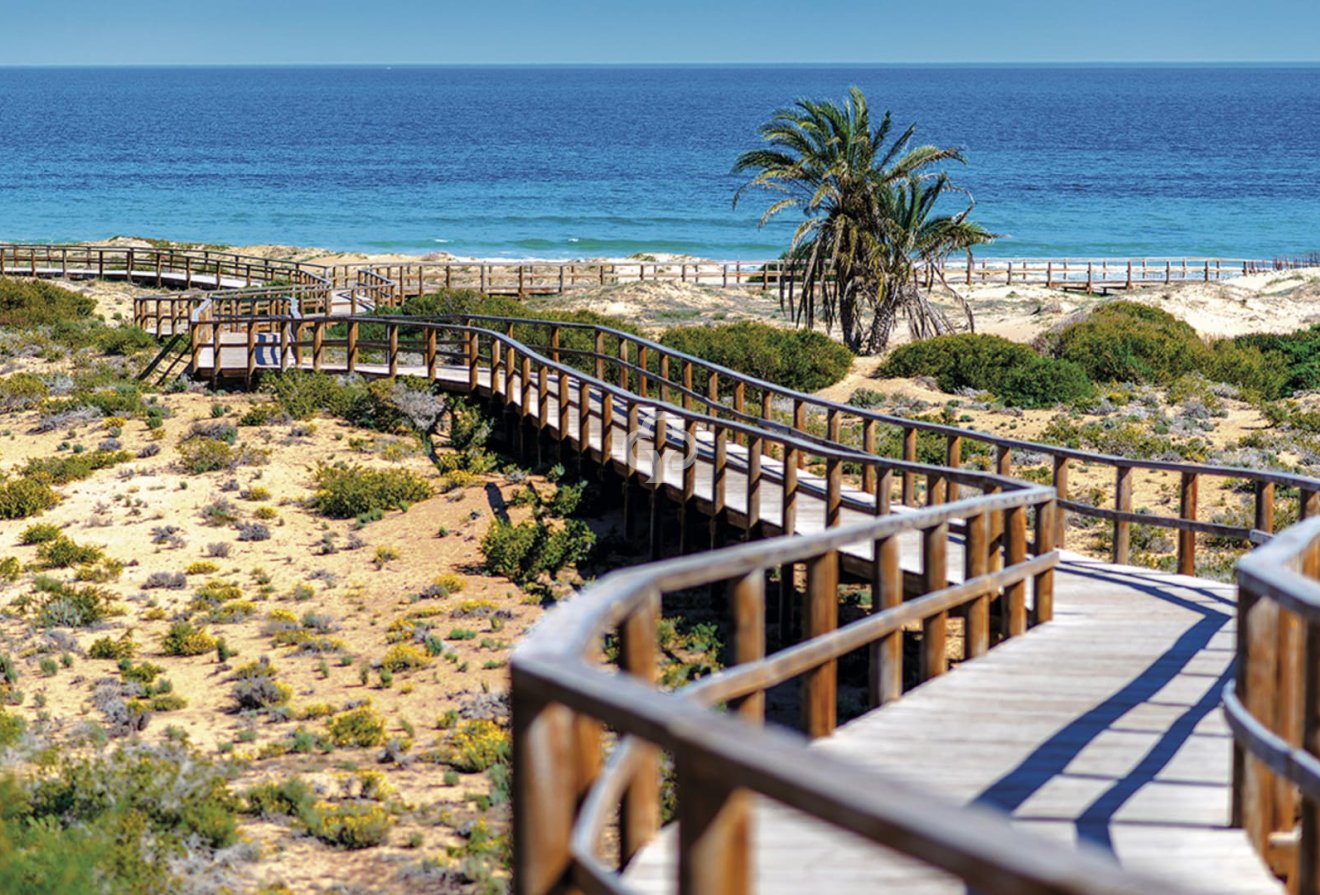 New Build - Bajos -
Monforte del Cid