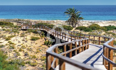 New Build - Bajos -
Monforte del Cid