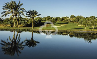 New Build - Bajos -
Monforte del Cid