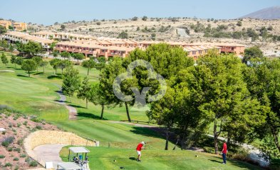 New Build - Bajos -
Monforte del Cid