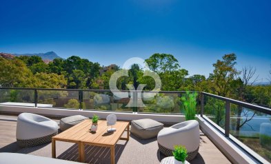 New Build - Áticos -
Marbella - Urbanización Nueva Andalucía s/n