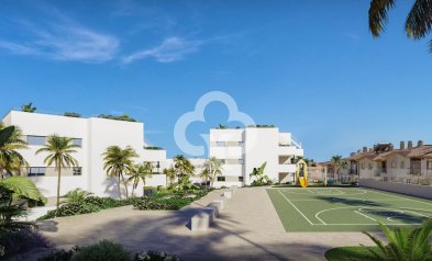 New Build - Apartamentos -
Torre del Mar - Avenida del Sol, 98